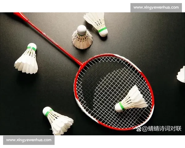 羽毛球拍VS不同材质对比：哪种材质最适合你的竞技需求